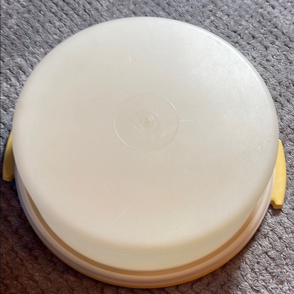 Vintage cake taker Tupperware